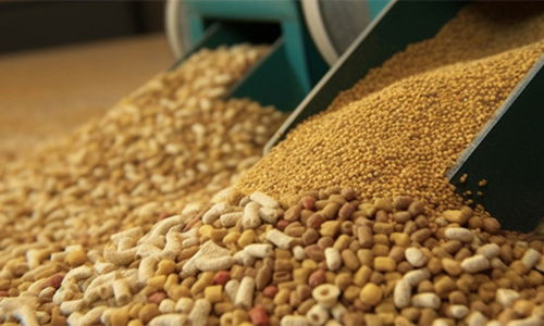 2024年猪饲料行业市场现状、发展格局与原料销售竞争趋势展望