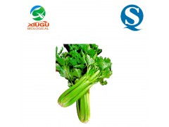 厂家直销高品质果蔬粉——芹菜粉，助力烘焙、膨化、固体饮料与饲料多元化应用