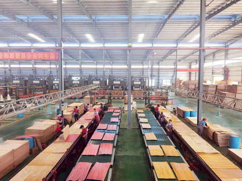 启阳新材料 勇立潮头，成为贵港首家获全国工业产品生产许可证的饲料原料销售企业